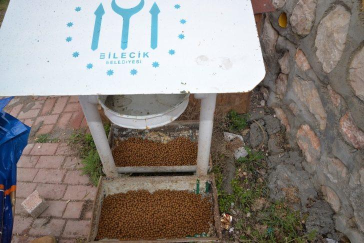 Bilecik Belediyesi sokak hayvanlarını unutmadı G3