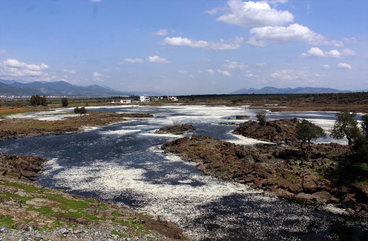 Hayat'ın Haydarlar G&ouml;l&uuml; b&uuml;y&uuml;l&uuml;yor!