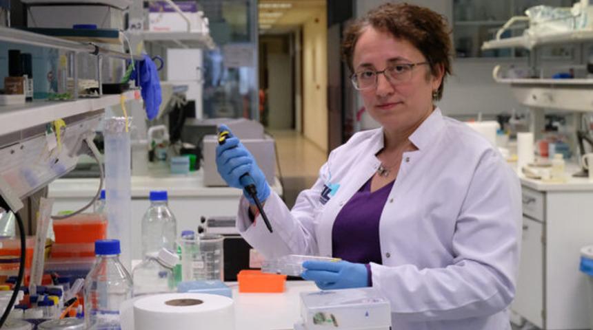 Koronavir&uuml;se karşı yerli ila&ccedil; ve aşı &ccedil;alışması