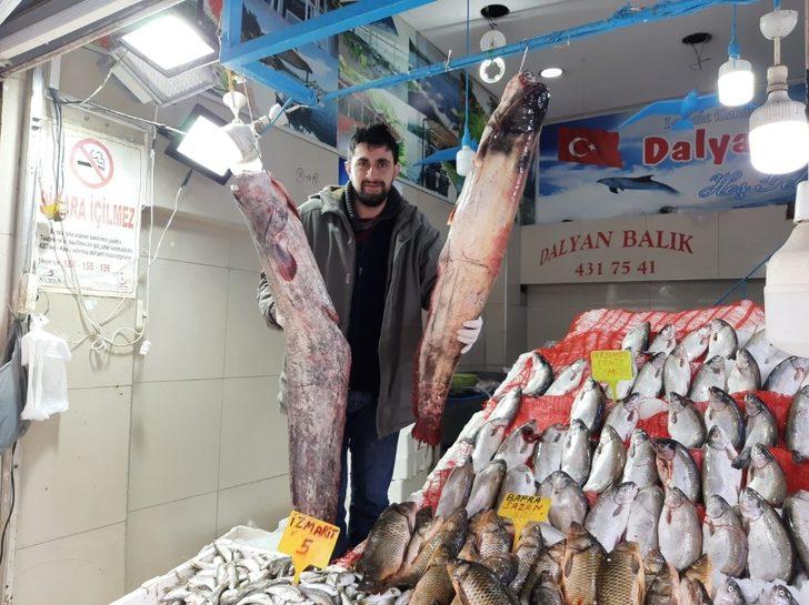 65 kilogramlık yayın balığı yakaladı G2