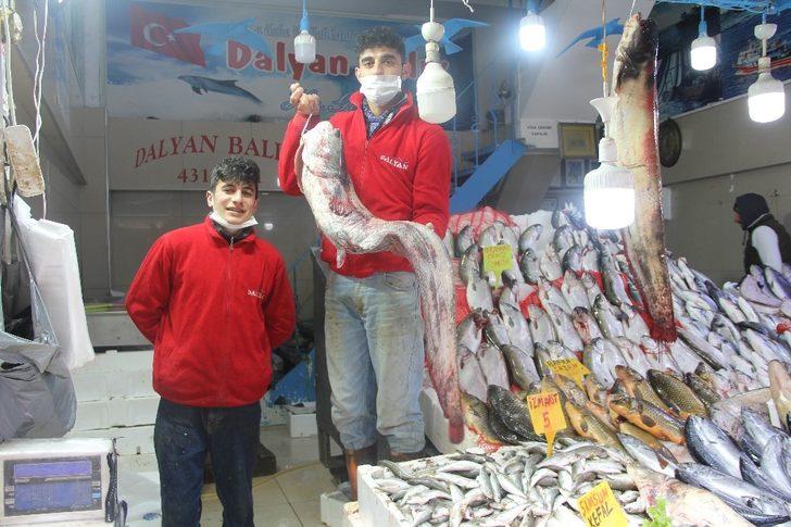 65 kilogramlık yayın balığı yakaladı G3