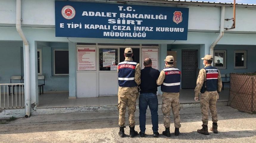 Siirt&rsquo;te hakkında kesinleşmiş hapis cezası bulunan şahıs yakalandı