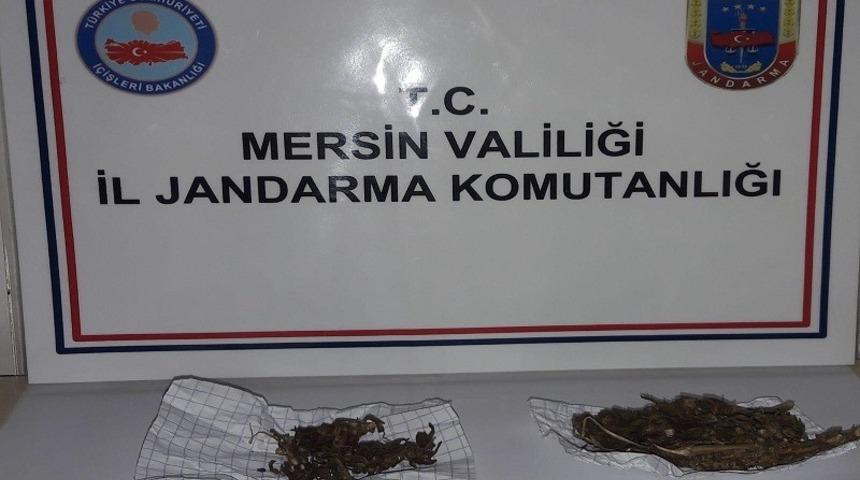 Uyuşturucu kullanan 1 kişi su&ccedil;&uuml;st&uuml; yakalandı