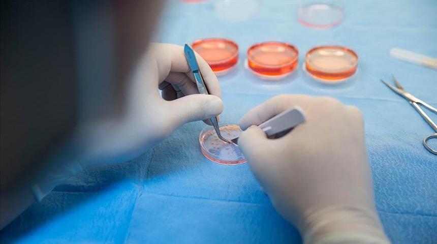 Koronavirüsün yüzeylerde 17 gün yaşadığı ortaya çıktı