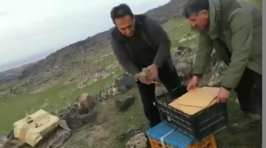 Iğdır’da ’canlı mühre’ ile keklik avlayan 7 şahsa 64 bin 624 lira ceza