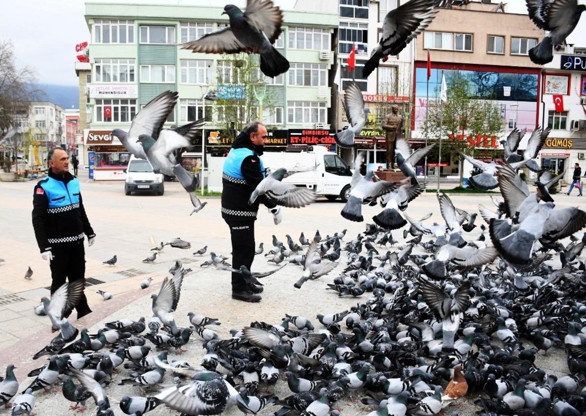 Kestel&rsquo;de sokak hayvanları yalnız değil