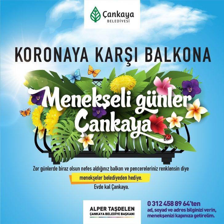 Çankaya Belediyesi evde kalan vatandaşlara menekşe dağıtıyor G2