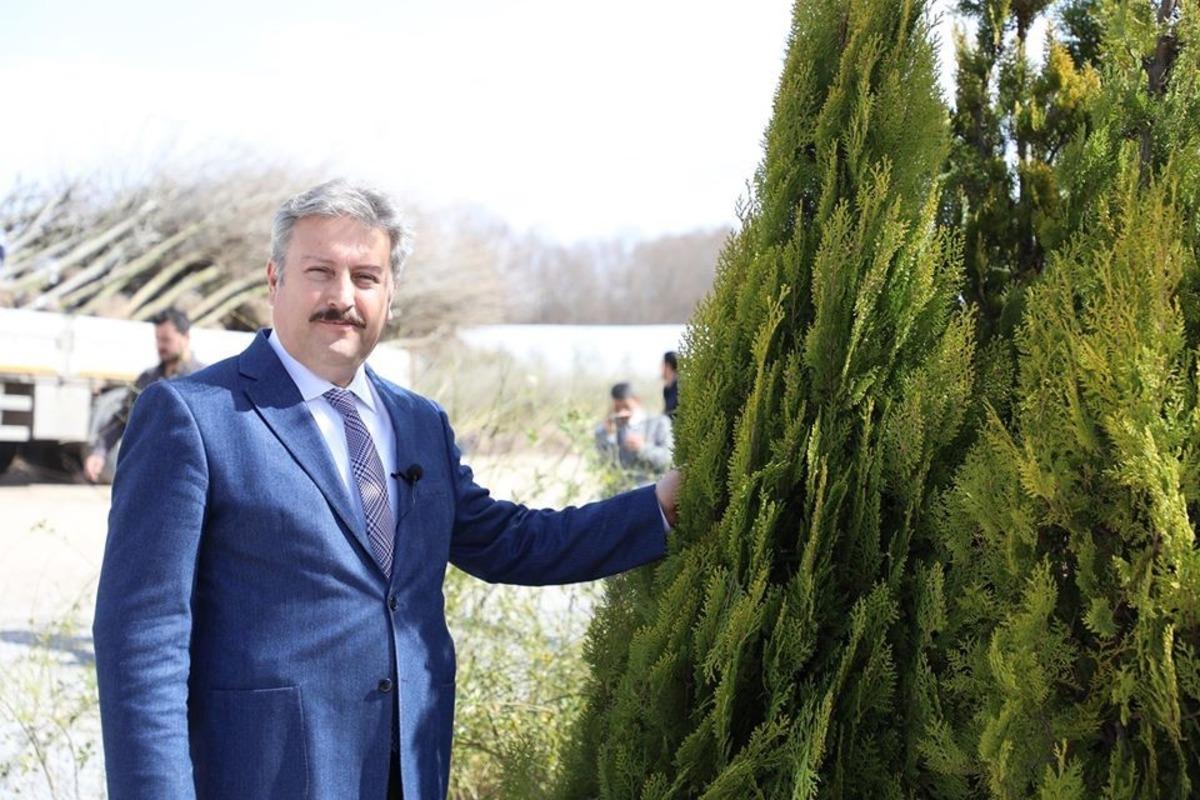 &ldquo;Fidan değil ağa&ccedil; dikiyoruz"