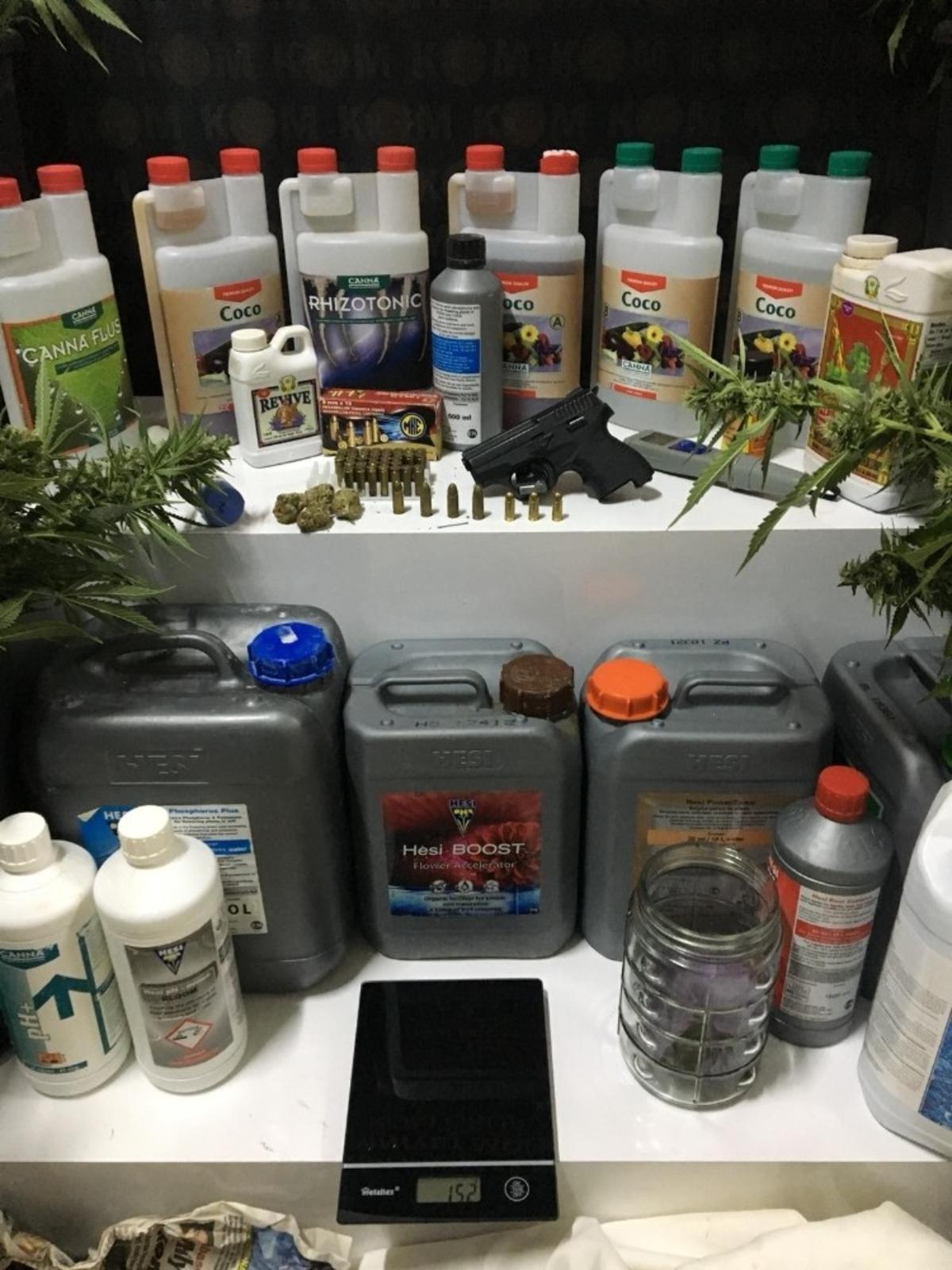 Uyuşturucu yetiştirilen villaya polisten şok baskın