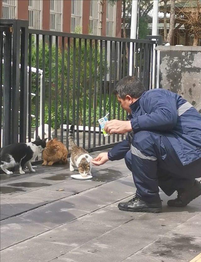 Dükkanlar kapandı, sokak hayvanlarının imdadına temizlik ekipleri yetişti