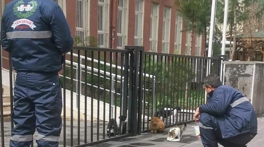 D&uuml;kkanlar kapandı, sokak hayvanlarının imdadına temizlik ekipleri yetişti