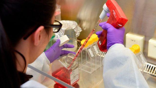 Belçikalı bilim insanları koronavirüse karşı tedavi arayışında ilerleme sağladıklarını açıkladı