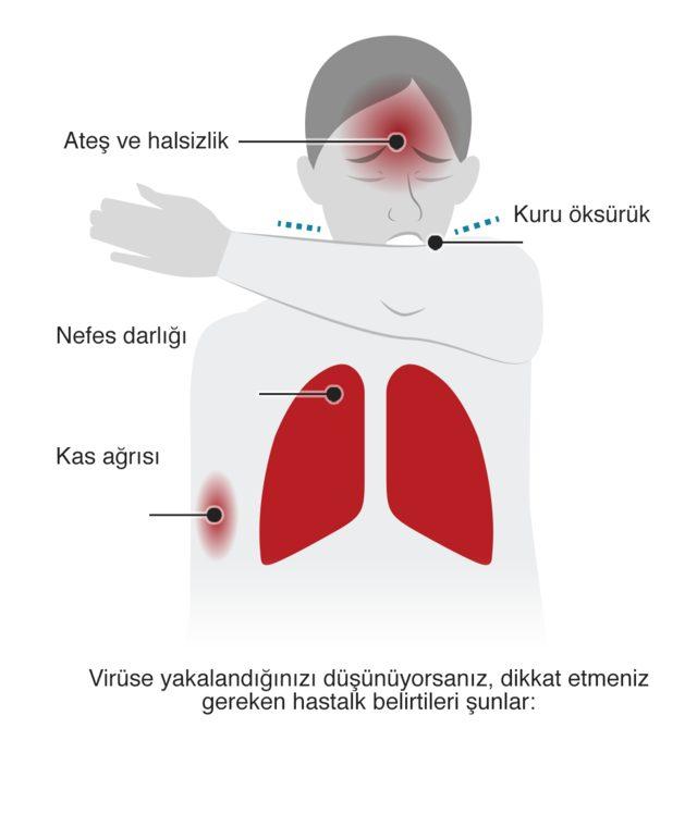 Bulgular