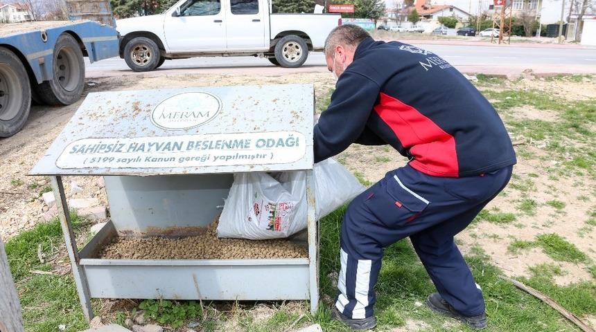 Başkan Kavuş: “Evde kalan hayvanseverlerin aklı sokak hayvanlarında kalmasın”