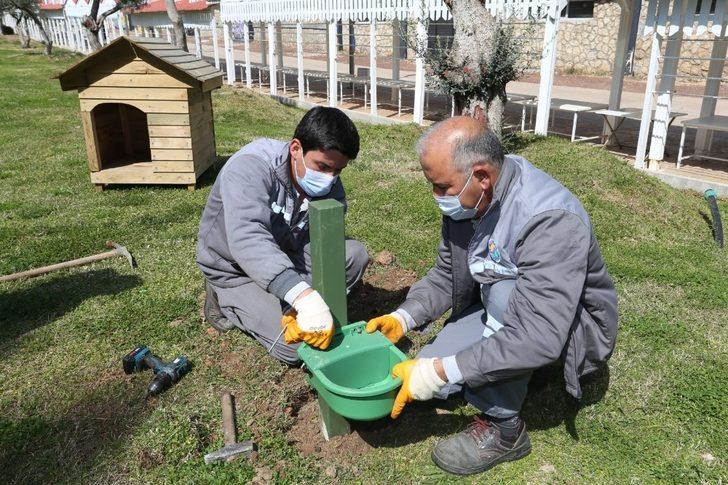 Kepez’de mama ve su kabı sayısı artırıldı G1