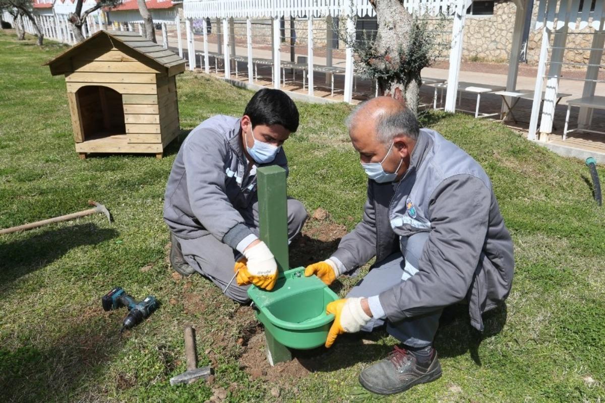 Kepez&rsquo;de mama ve su kabı sayısı artırıldı