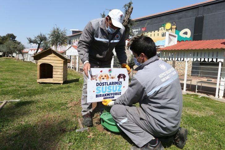 Kepez’de mama ve su kabı sayısı artırıldı G4