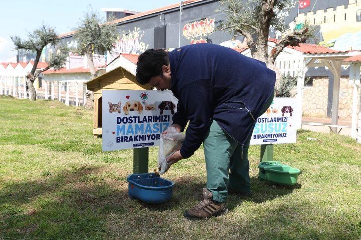 Kepez’de mama ve su kabı sayısı artırıldı G5