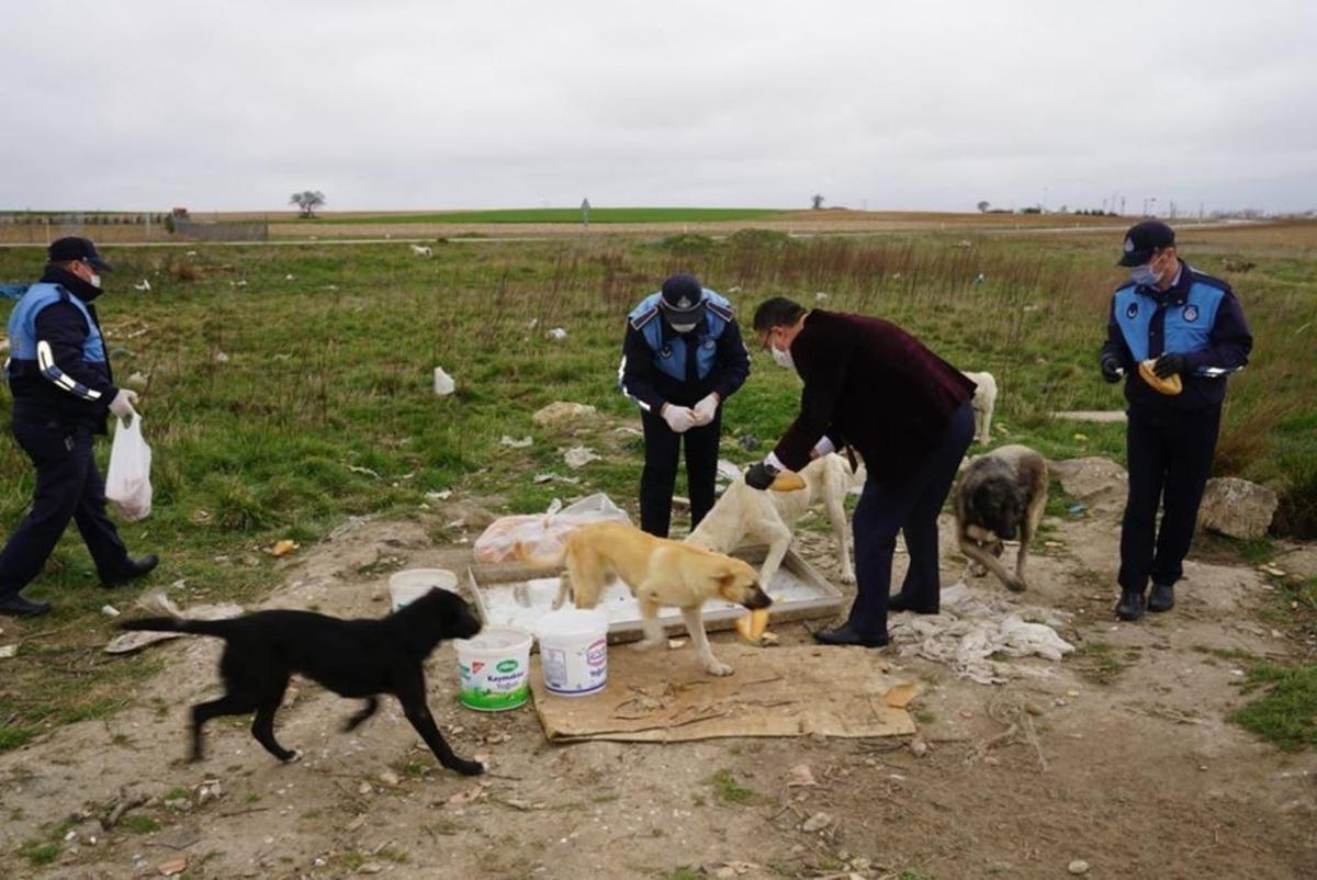 Sokak hayvanları unutulmadı