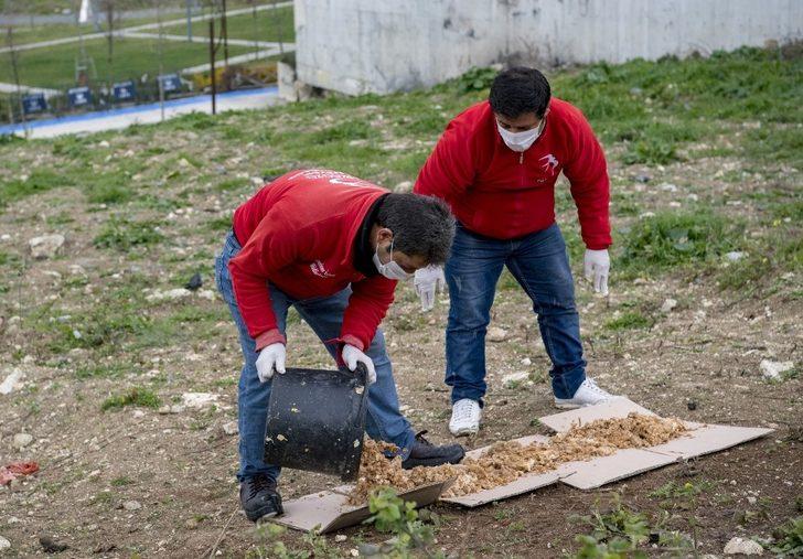 Sokak hayvanları için günde 650 kilo mama G2