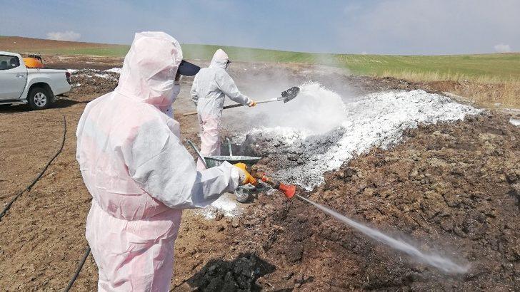 Çorum’da vektörel mücadele çalışmaları sürüyor G1
