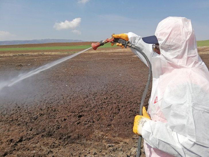 Çorum’da vektörel mücadele çalışmaları sürüyor G2