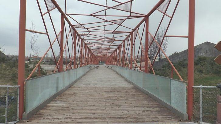 Binlerce ziyaretçisi olan hayvanat bahçesi ıssız kaldı G2