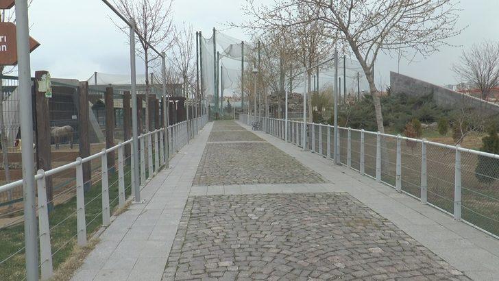 Binlerce ziyaretçisi olan hayvanat bahçesi ıssız kaldı G4