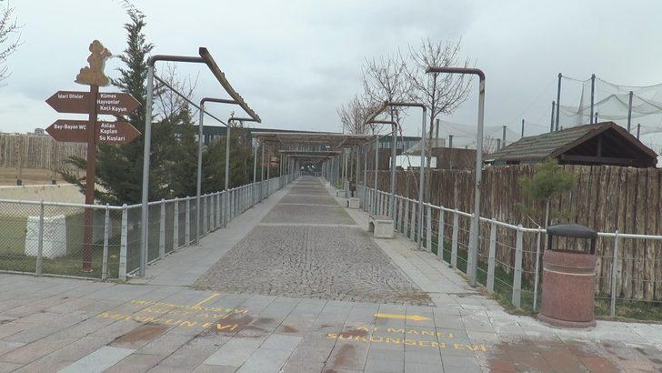 Binlerce ziyaretçisi olan hayvanat bahçesi ıssız kaldı G5