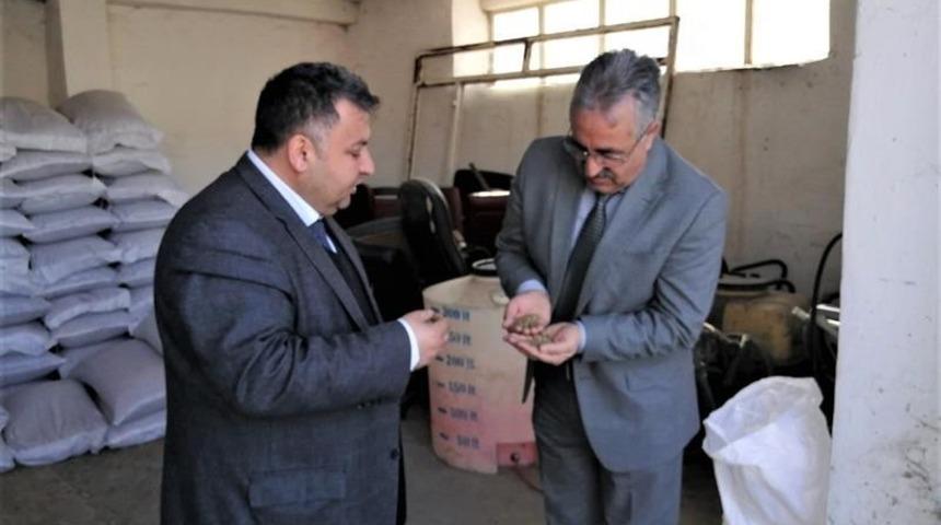 Iğdır&rsquo;da Korunga &uuml;retimi teşvik ediliyor