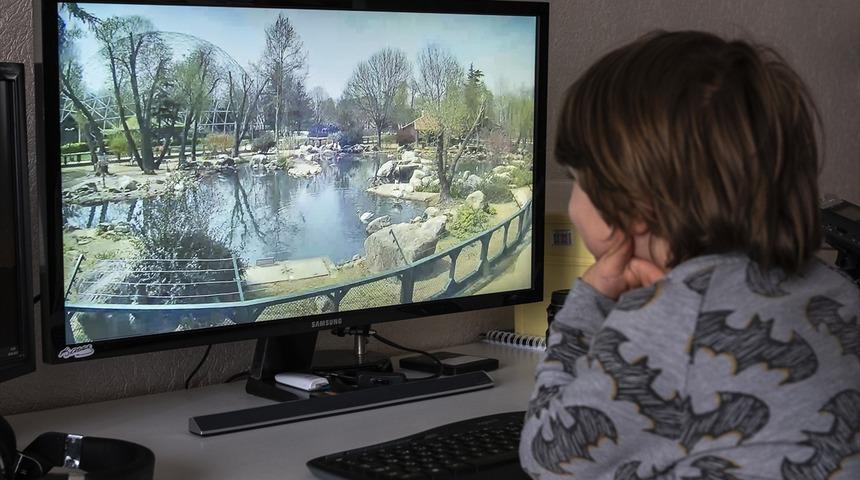 Ziyarete kapatılan Bursa Hayvanat Bahçesi internetten gezilebilecek