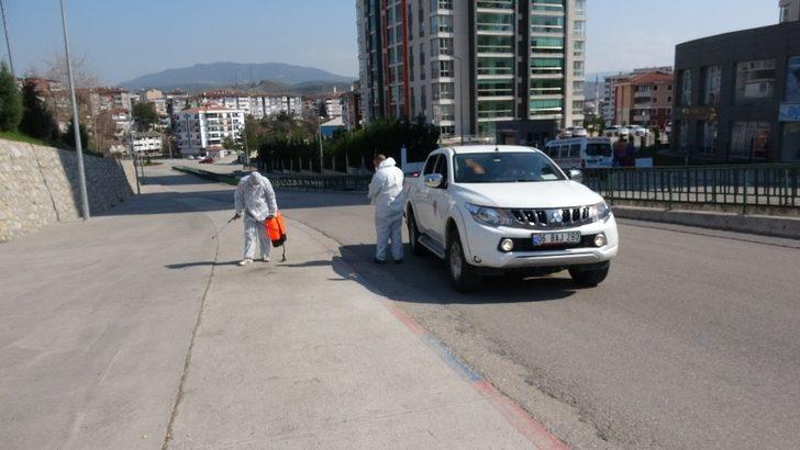 Karabük'te ortaya çıktılar! Korkutan manzara G2