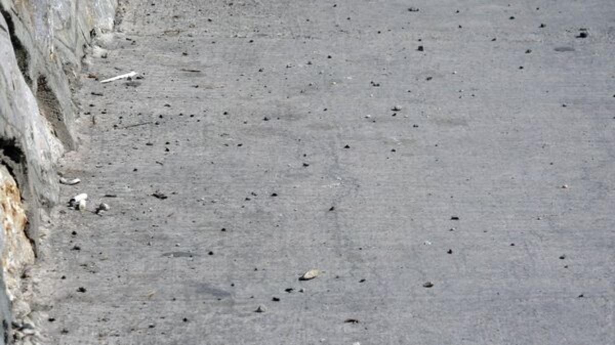 Karab&uuml;k'te ortaya &ccedil;ıktılar! Korkutan manzara