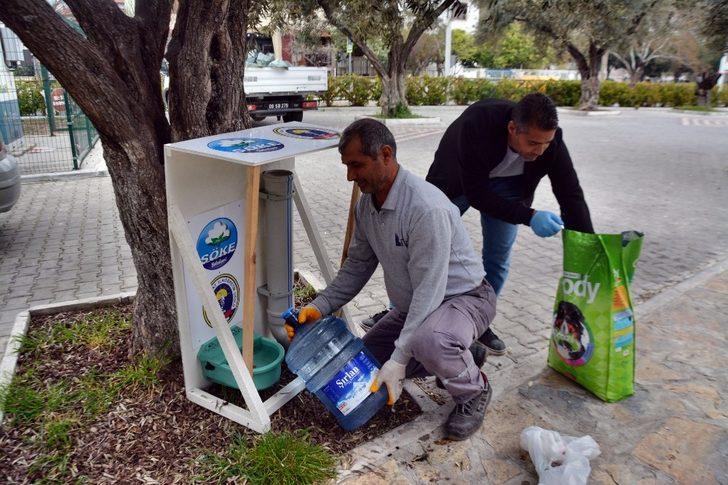 Söke Belediyesi sokak hayvanlarını unutmadı G1