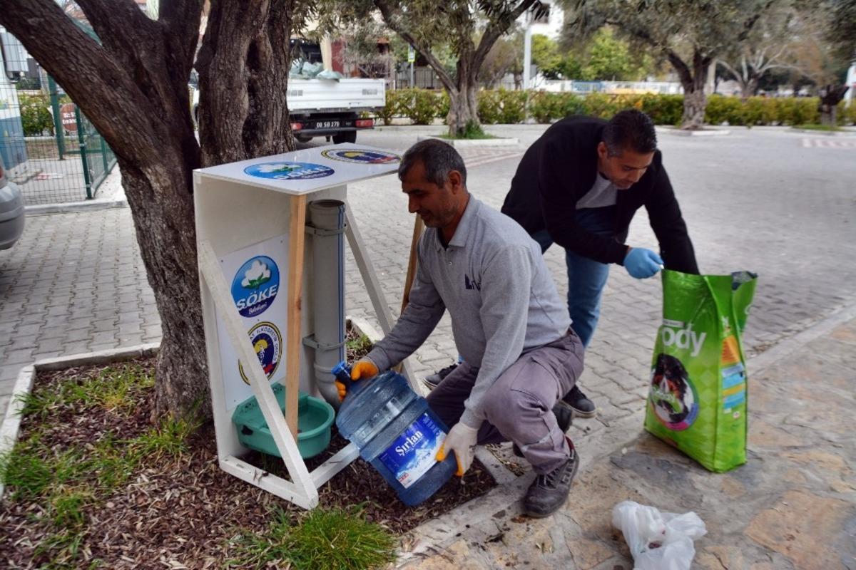 S&ouml;ke Belediyesi sokak hayvanlarını unutmadı