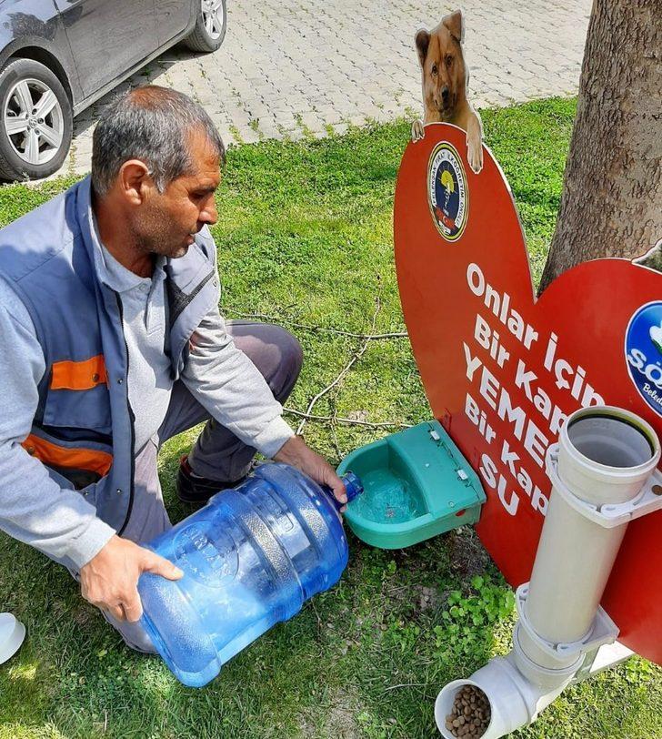 Söke Belediyesi sokak hayvanlarını unutmadı G3