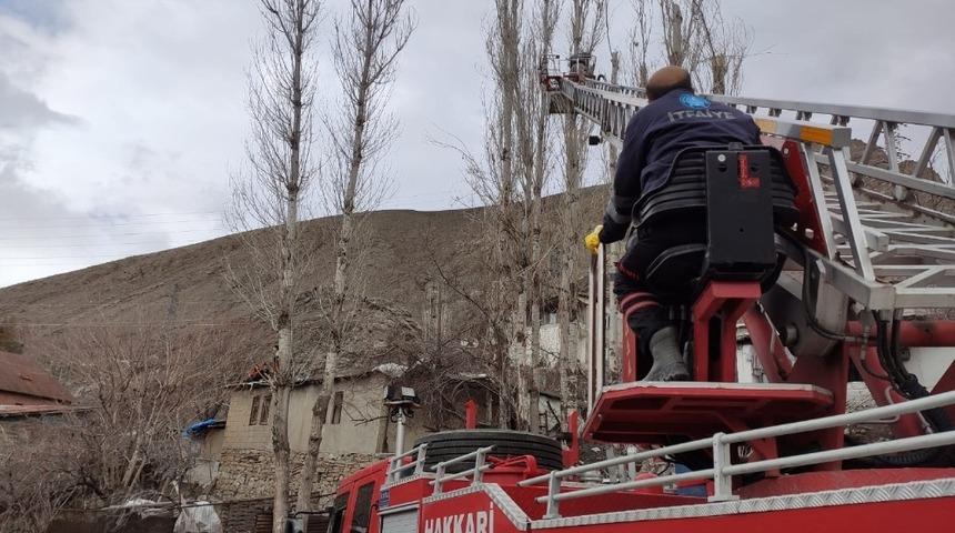 Tehlike arz eden kavak ağa&ccedil;larına m&uuml;dahale