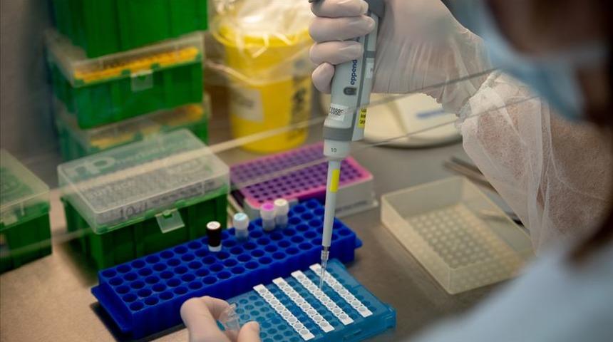 Fransa'da sıtma tedavisinde başvurulan klorokinin koronavirüse karşı kullanımına izin