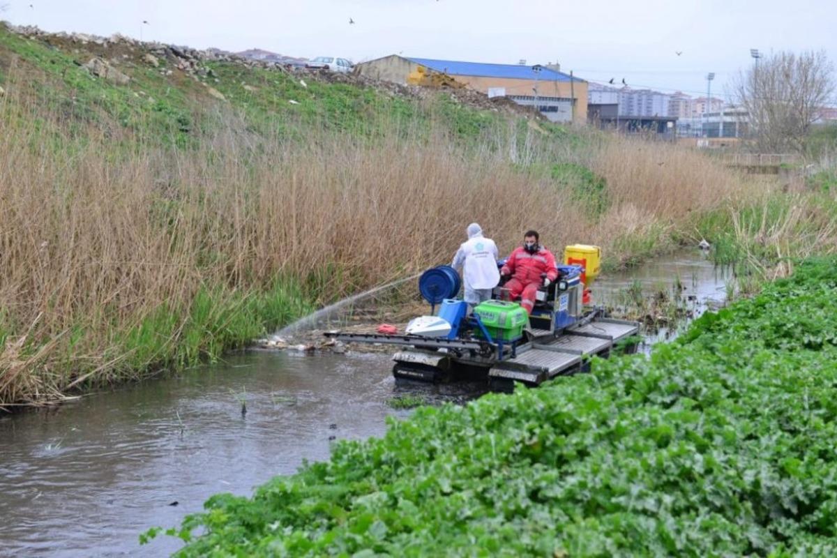 Larva, u&ccedil;kun ve sinekle m&uuml;cadele