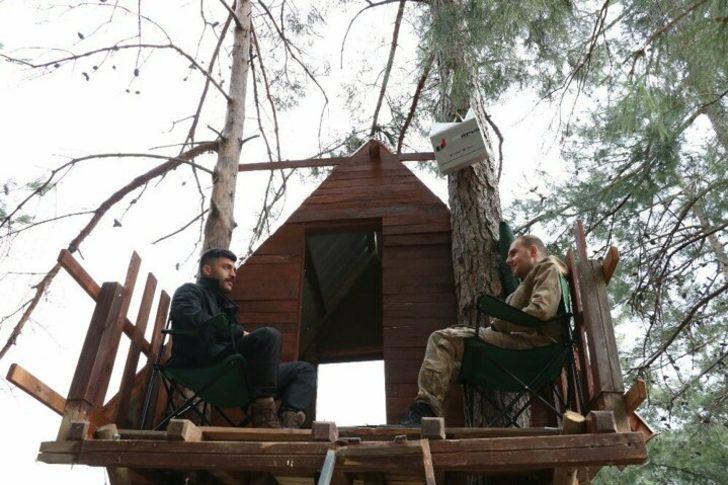 Koronavirüsten korunmak için ağaç tepesine ev yaptıları G1