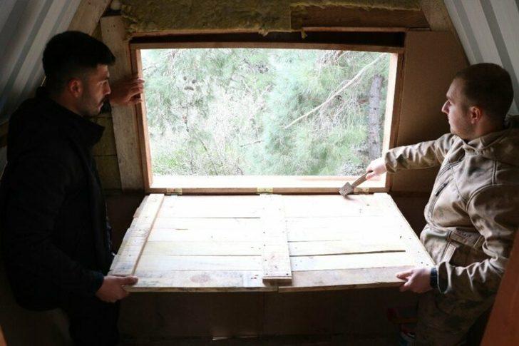 Koronavirüsten korunmak için ağaç tepesine ev yaptıları G4