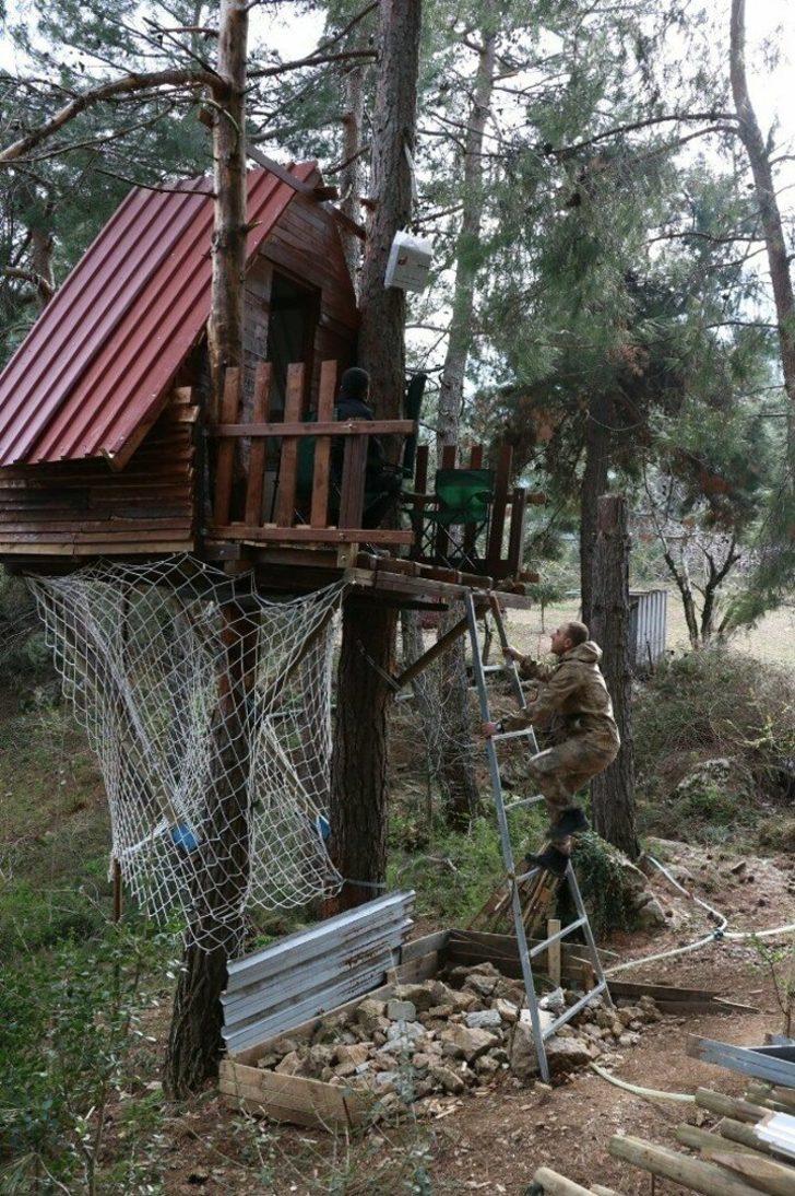 Koronavirüsten korunmak için ağaç tepesine ev yaptıları ...