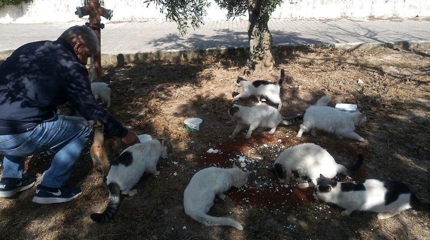 Didimli hayvanseverler sokak hayvanlarını unutmadı