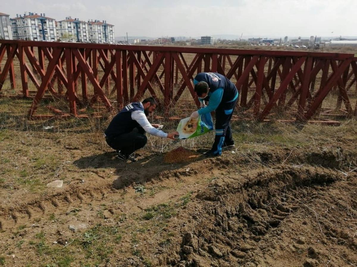 Sincan&rsquo;da sokak hayvanlarına mama desteği
