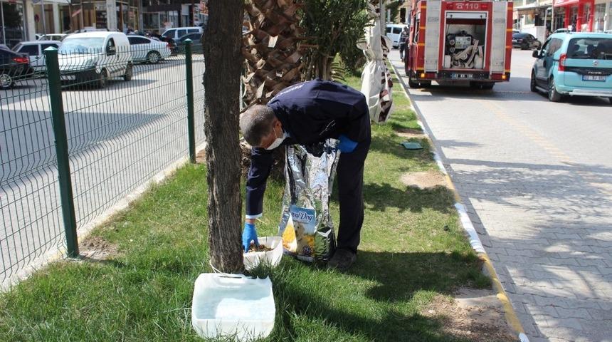 Kahta&rsquo;da sokak hayvanları i&ccedil;in mama ve su bırakılıyor