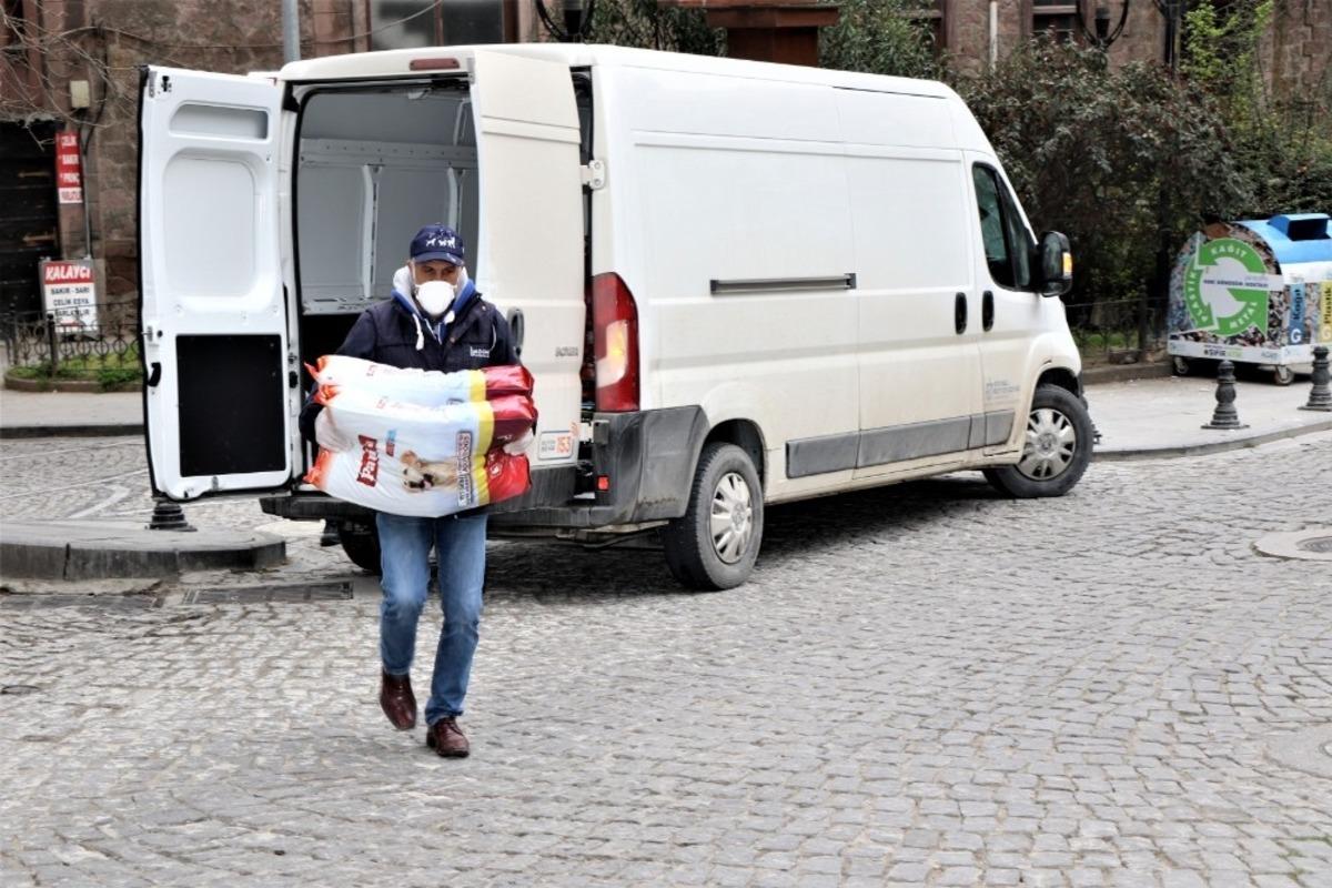 Kocaeli&rsquo;de sokak hayvanlarına 3 ton mama takviyesi
