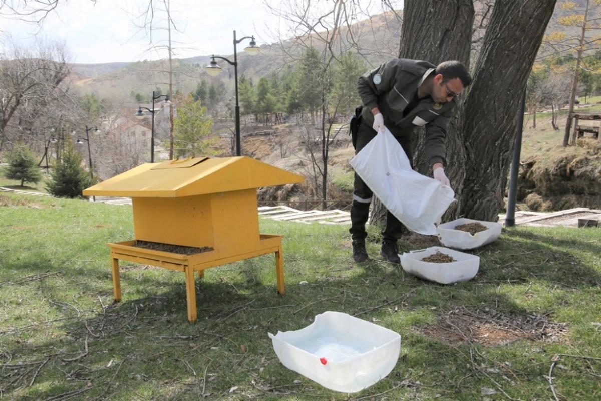 Sokak hayvanları i&ccedil;in mesire alanlarına yem ve su bırakıldı