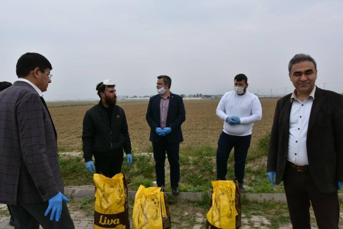 Nazilli&rsquo;de sokak hayvanları unutulmadı