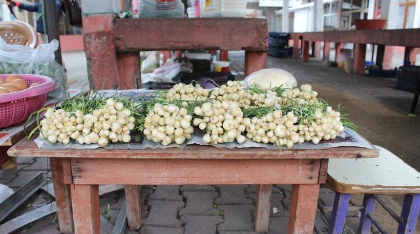 Yılda 2 ay yetişiyor! Hem geçim kaynağı hem de sofraların baş tacı