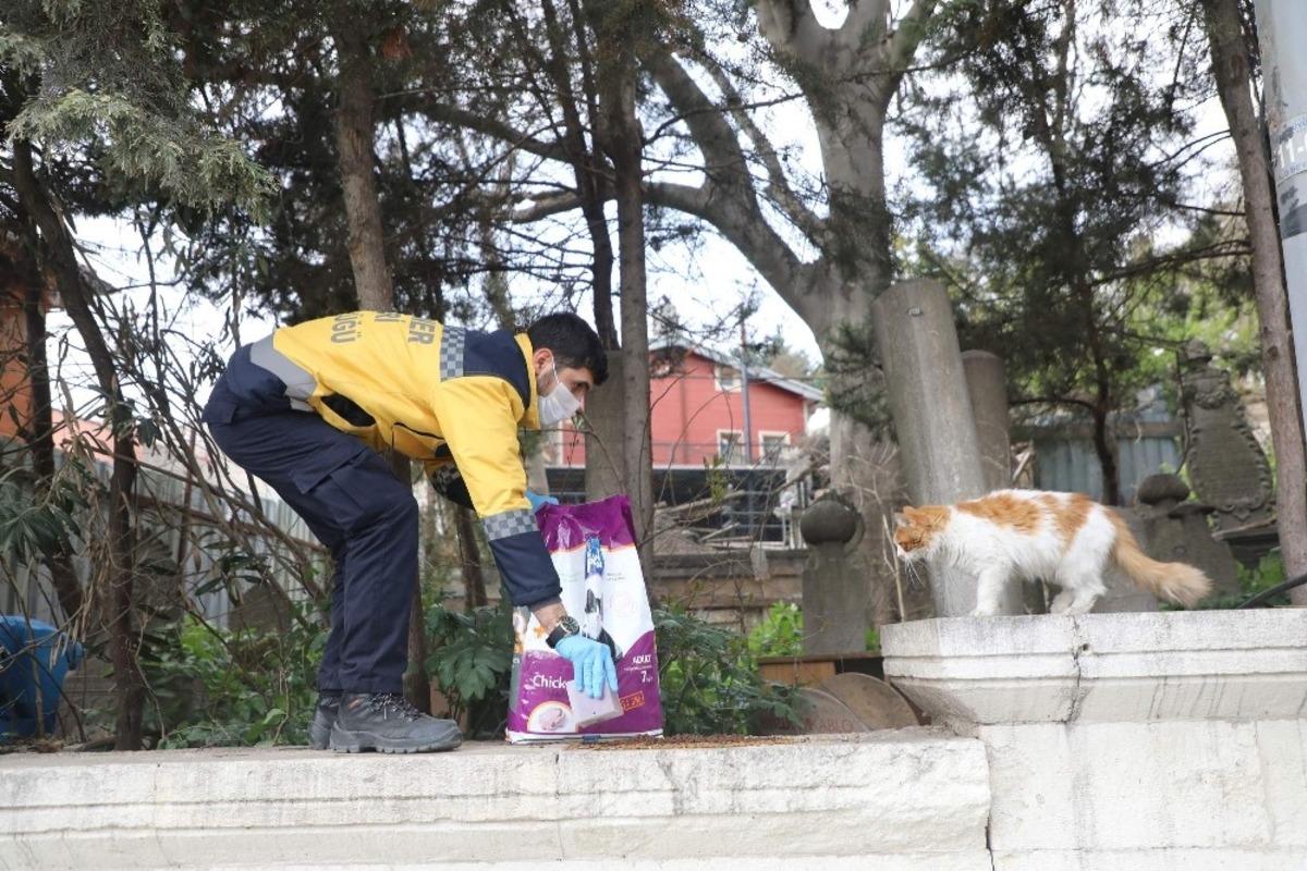 Ey&uuml;spultan&rsquo;da sokak hayvanları unutulmadı